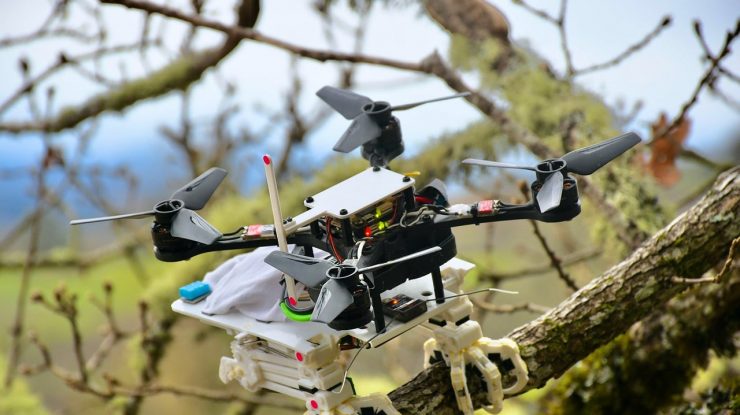VIDEO. Oamenii de știință au creat prima dronă pasăre. Ce știe să facă