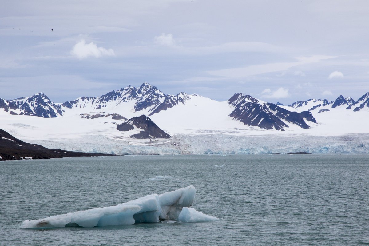 A fost înregistrată cea mai mare temperatură în zona arctică: 38 de grade