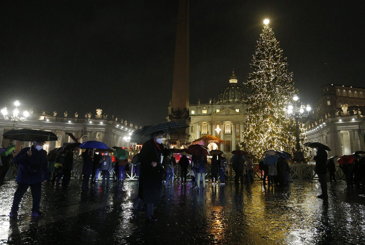 Cel mai mare brad a luminat Vaticanul