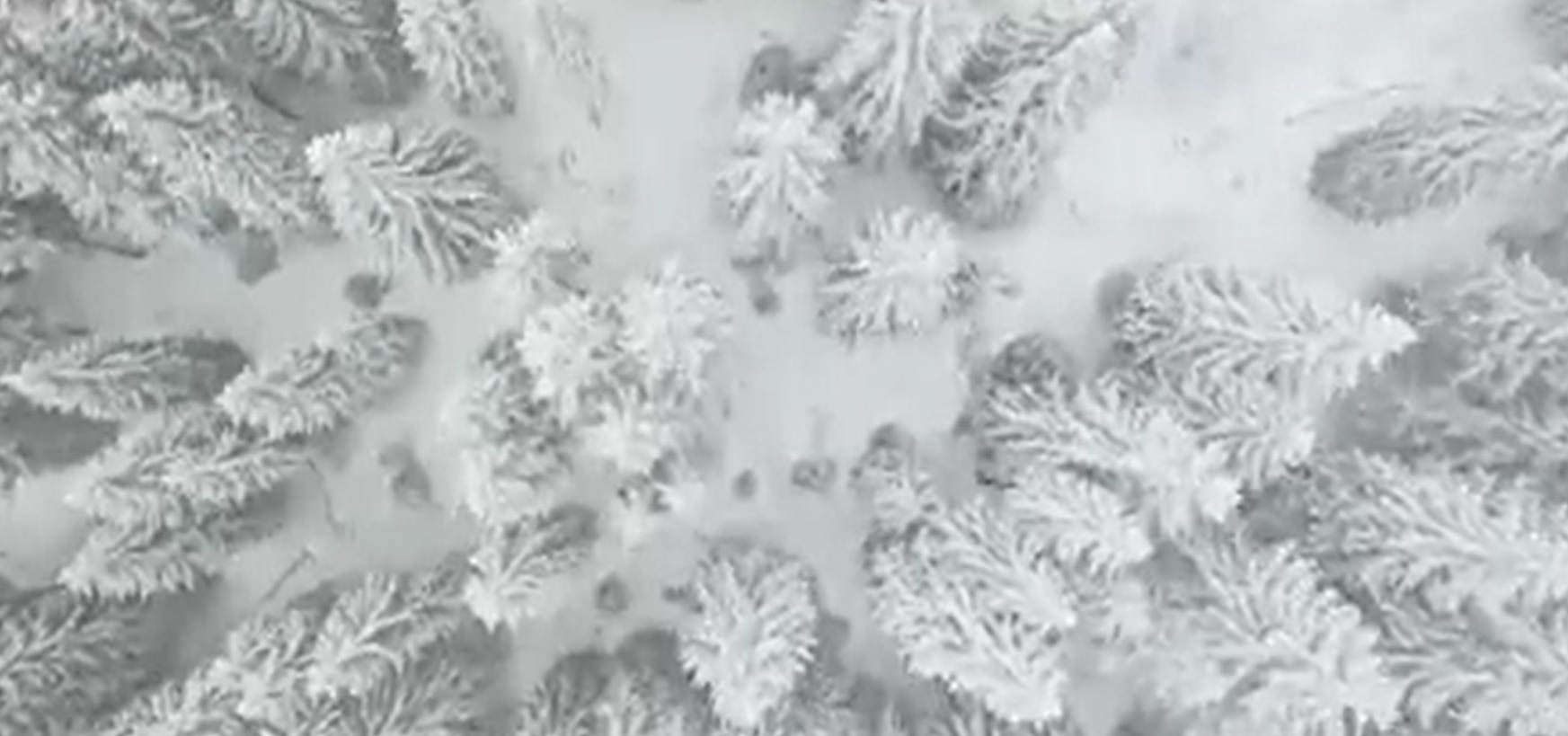 GALERIE FOTO. Iarna s-a instalat în Europa. Un episod de vreme severă va avea loc în zona Balcanilor