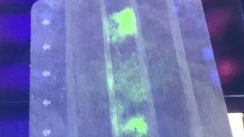 Masca cu anticorpi din ouă de struț pentru a detecta coronavirusul. Metoda inedită descoperită de cercetătorii japonezi