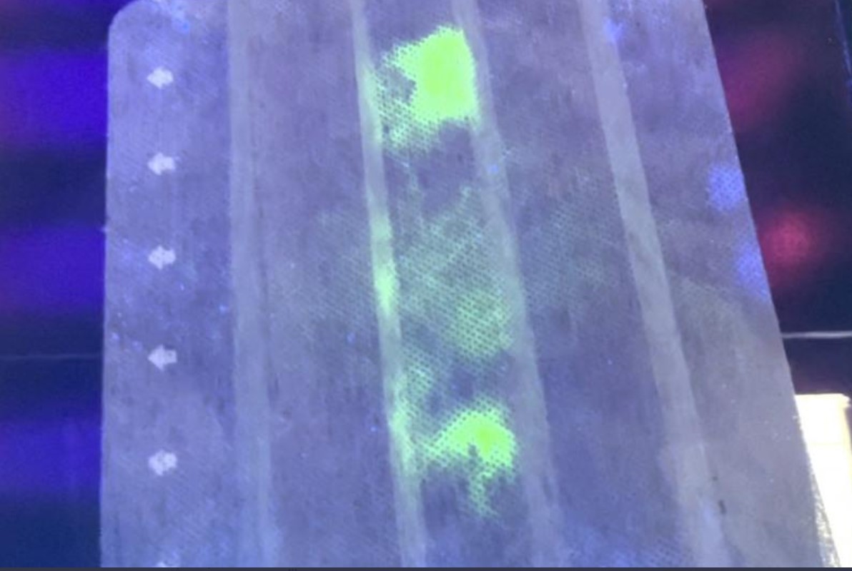 Masca cu anticorpi din ouă de struț pentru a detecta coronavirusul. Metoda inedită descoperită de cercetătorii japonezi