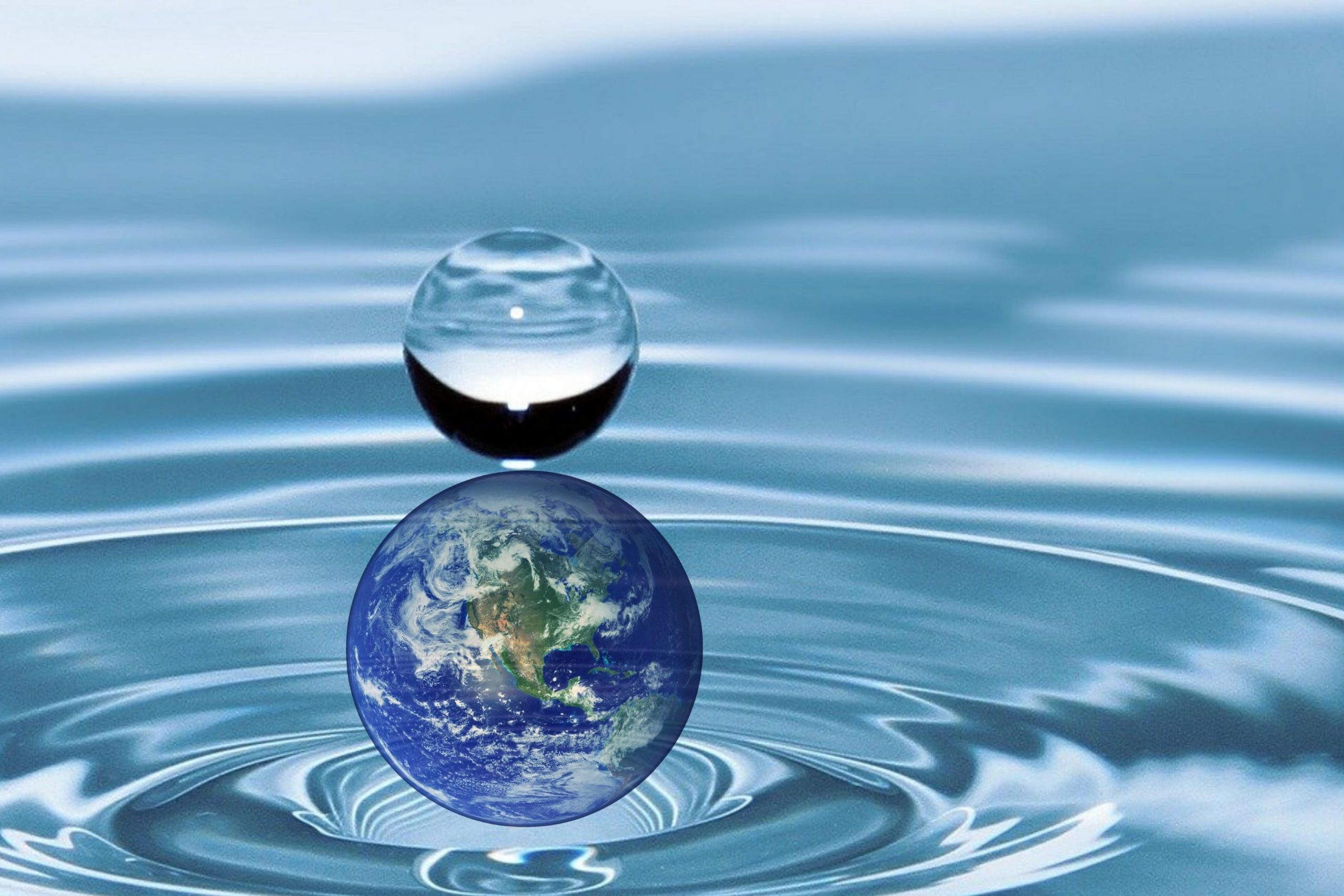 Acvamația, alternativă a incinerării considerată „mai ecologică”