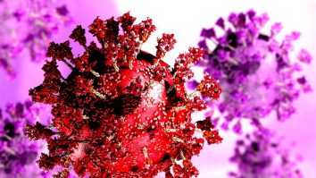 BILANȚUL ZILEI: Peste 1.250 de cazuri noi de Covid şi 13 de decese