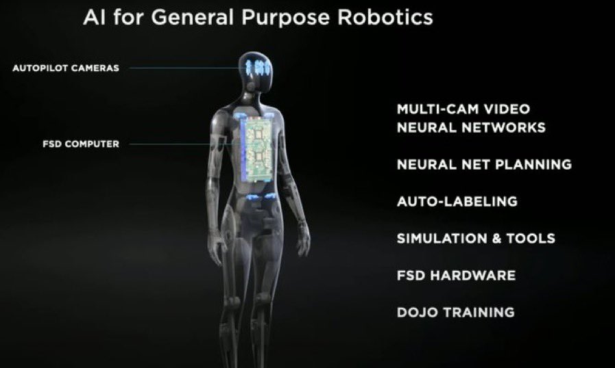 Robot-Tesla