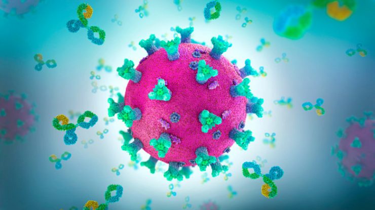 Anticorpii dobândiți în urma infecției cu COVID pot ataca țesuturi și organe sănătoase