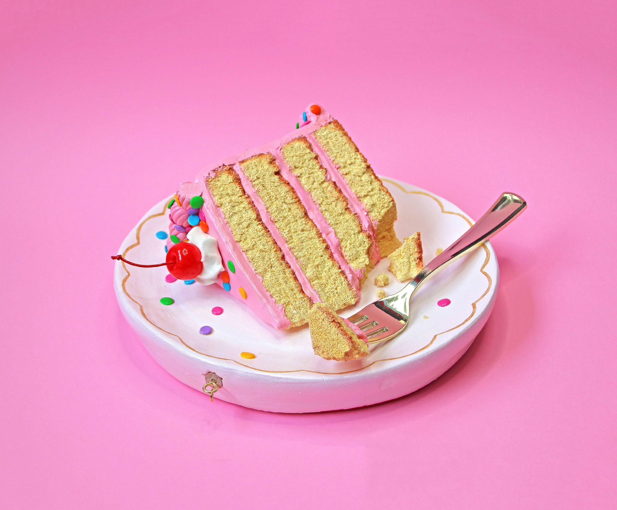 Controversatul caz al „tortului gay” a fost respins de Curtea Europeană