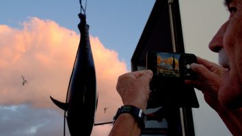 Peștele vândut cu peste 140.000 de dolari la prima licitație a anului