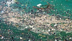 plastic în oceane