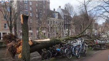 Furtuna Eunice afectează Olanda. Trei persoane au murit din cauza copacilor doborâți de vânt