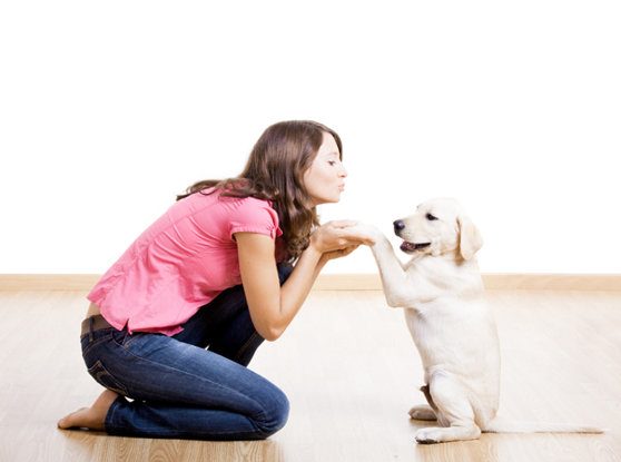 Un câine ar putea fi cheia pentru a atrage un potențial partener de viață. Rasa cu cele mai mari șanse de a influența pozitiv întâlnirile