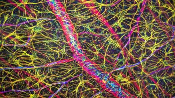 Perfecționismul este o fobie care ne pune sănătatea pe butuci