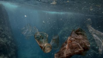 Soluția găsită de cercetători pentru a reduce numărul deșeurilor din plastic