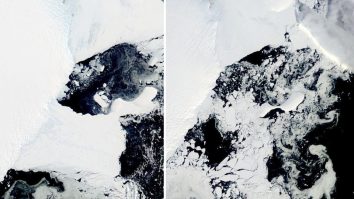 O platformă de gheață de mărimea orașului New York s-a prăbușit în Antarctica de Est