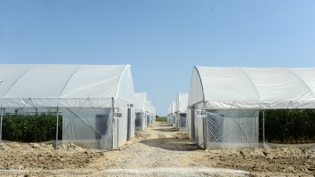 Criza energetică. Britanicii ar putea rămâne fără faimosul sandviș cu castraveți