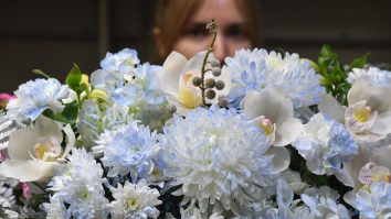 Zece fraze scurte pentru a sărbători Ziua Internațională a Femeii în 2022