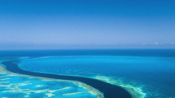 Activiștii australieni depun o plângere pentru a opri proiectul de gaz Scarborough din cauza temerilor legate de recif