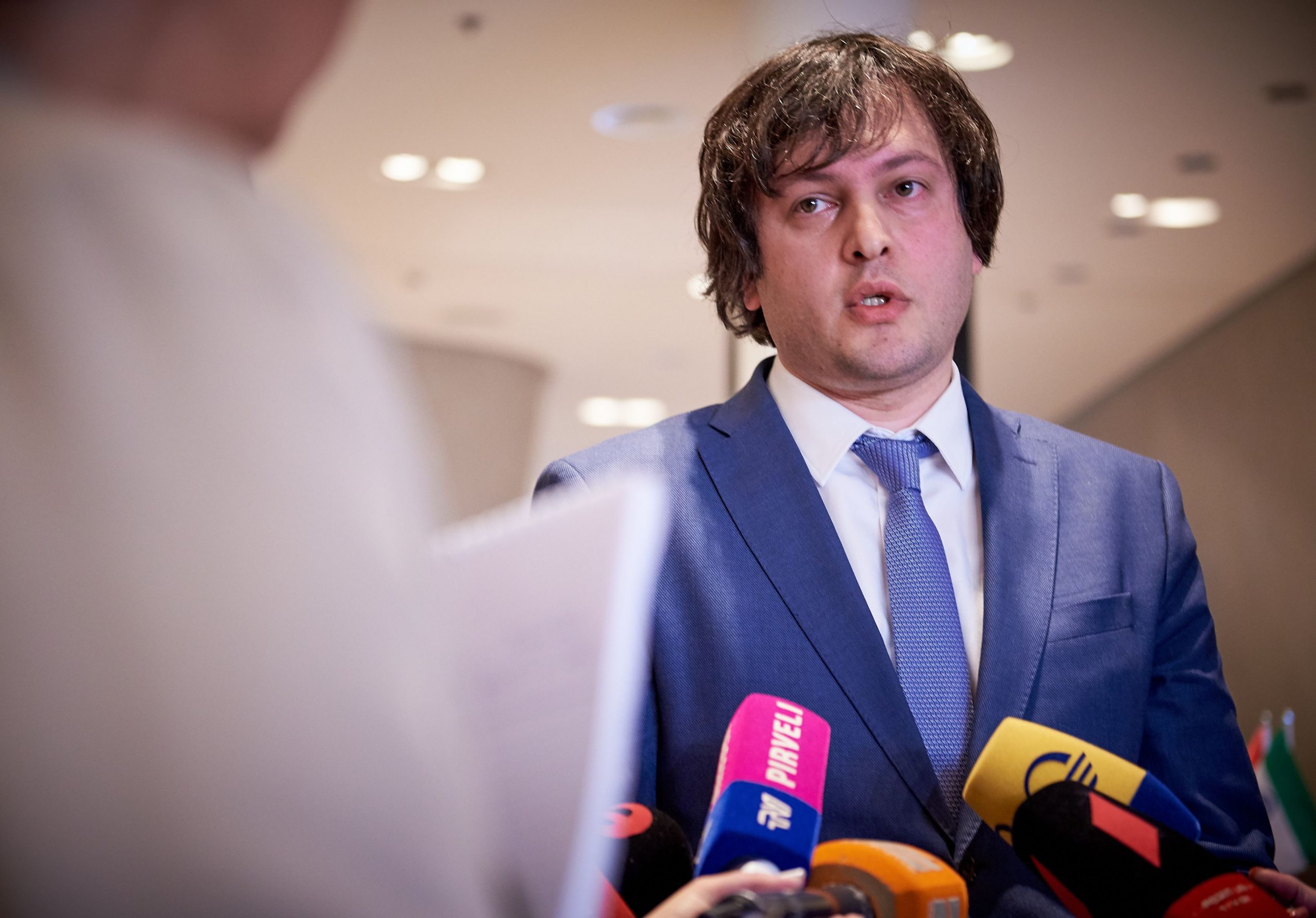 Georgia urgentează aderarea la UE, după ce Ucraina a făcut același lucru