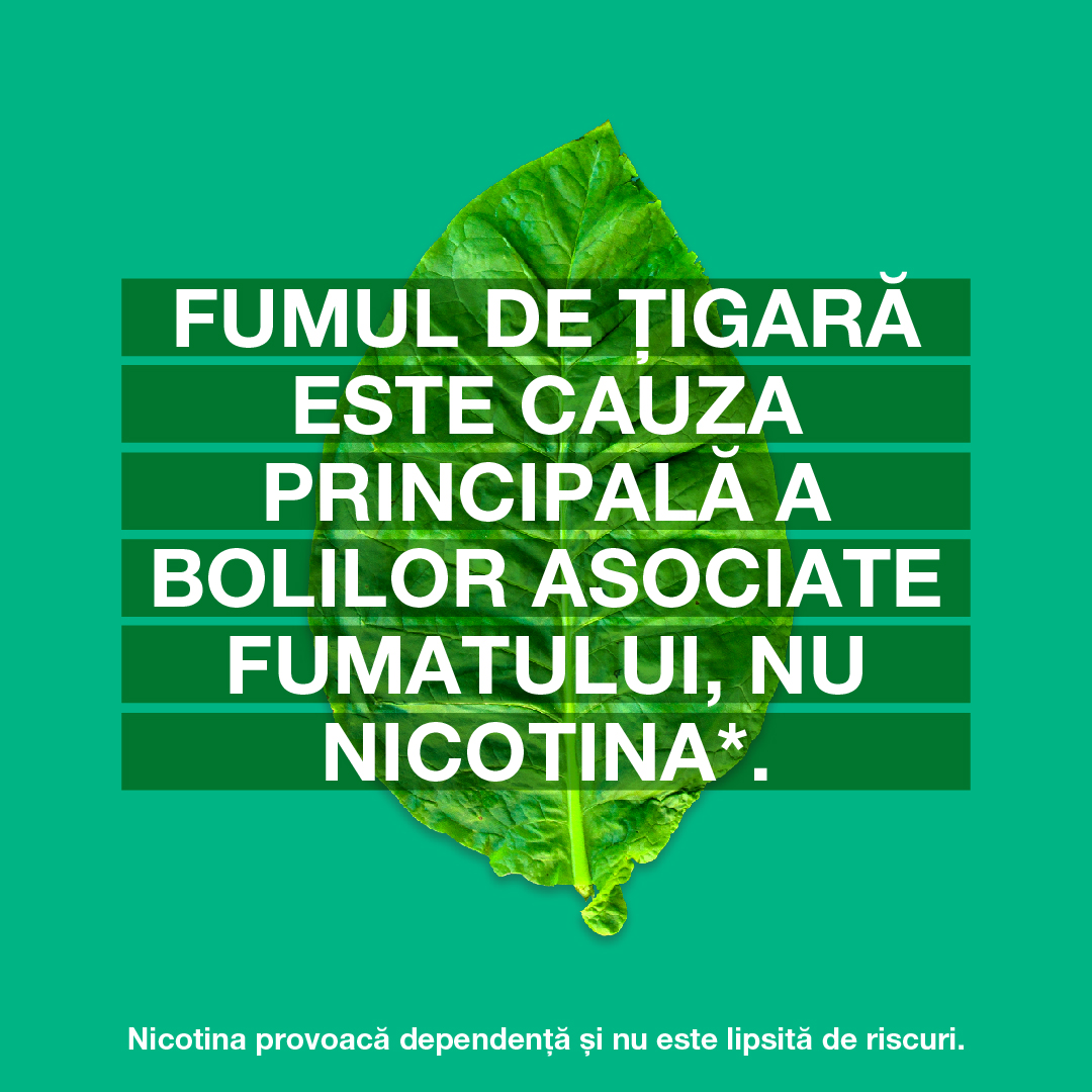 Nicotina: „mituri” și realitate în legătură cu fumatul