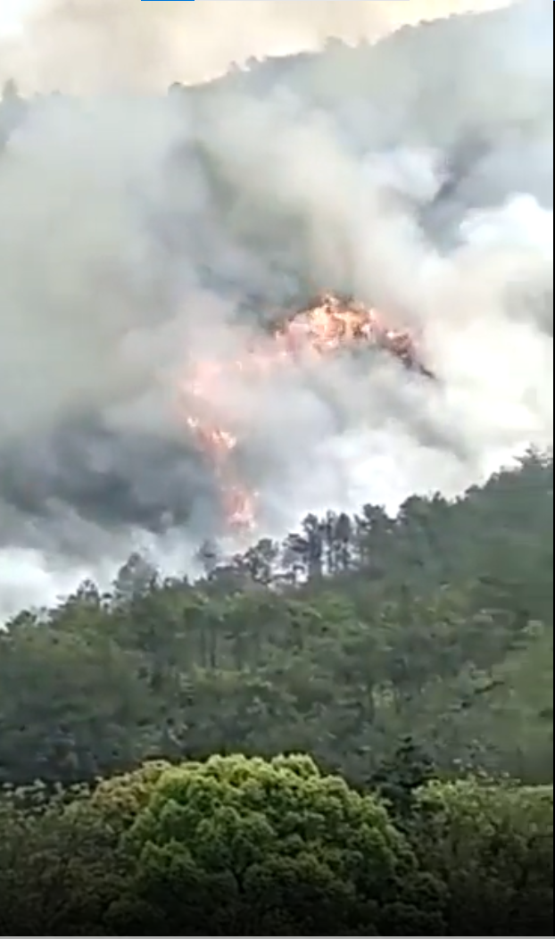 China caută victimele și cutiile negre, după primul accident aviatic din ultimii 12 ani