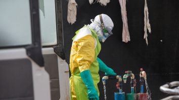 Un virus similar cu Ebola a apărut în UK. Rata de mortalitate este de 40%
