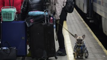 Primăria Capitalei va amenaja la Romexpo un centru pentru refugiați. Acesta va avea  2.000 de paturi