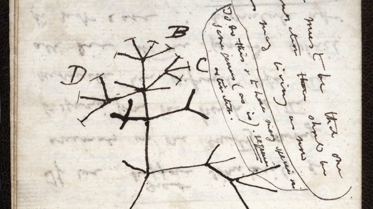 caietele lui Charles Darwin