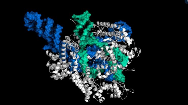 Omul de știință chinez, care a manipulat genetic bebeluși pentru a rezista la HIV, eliberat din închisoare