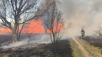 incendiu Delta Văcărești