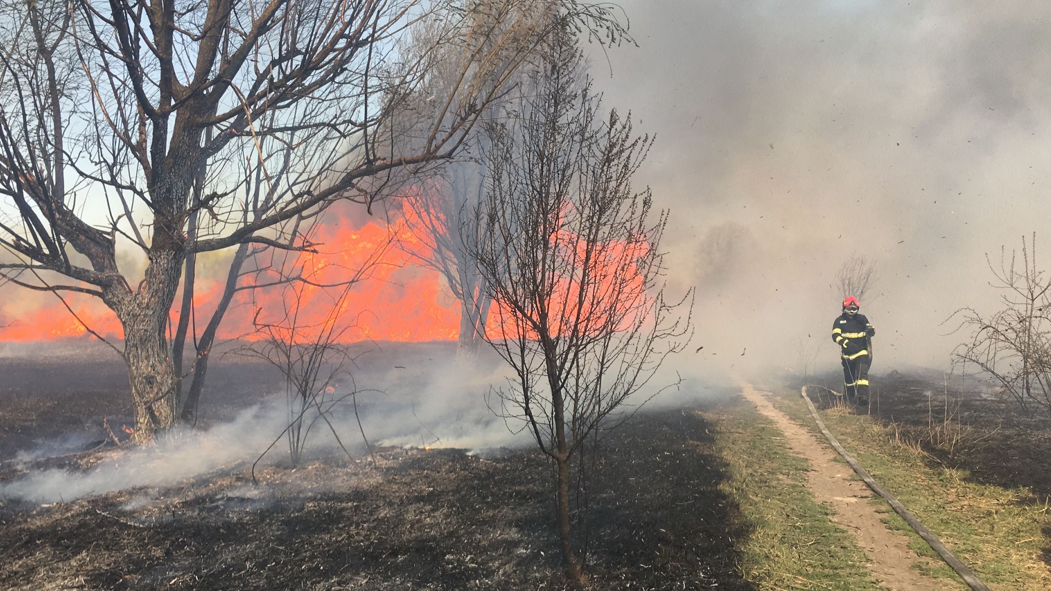 Incendiul de vegetaţie din Delta Văcăreşti a fost stins. A fost afectată o suprafață de 15.000 de metri pătrați