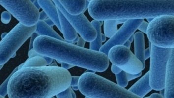 Misterul rănilor incurabile