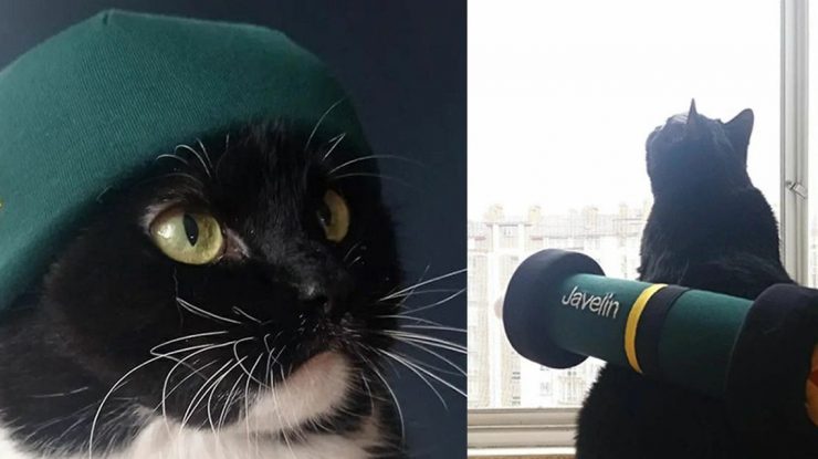 Motanul naționalist Bandera e senzația internetului