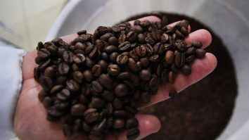 Încălzirea globală lasă lumea fără producția de cafea din Africa de Est