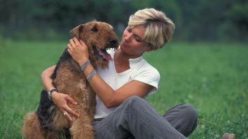 STUDIU. Câinii pot „mirosi” dacă o persoană nu este demnă de încredere