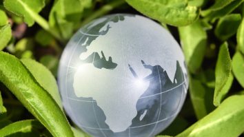 Cum au influențat schimbările climatice evoluția umană timp de 2 milioane de ani