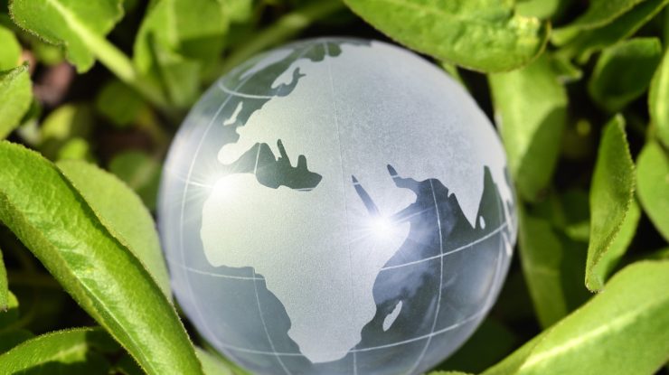 Cum au influențat schimbările climatice evoluția umană timp de 2 milioane de ani