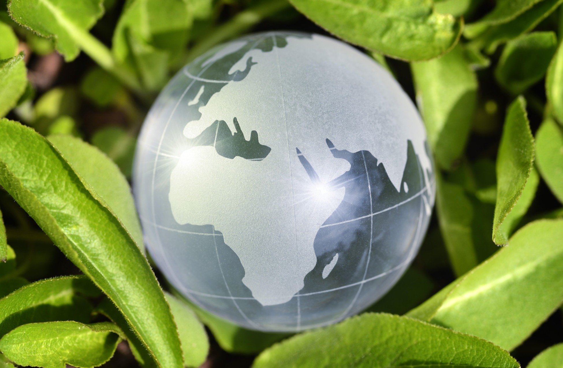 SUA, China și Rusia sunt considerate cele mai puternice țări din lume. America are cea mai mare economie de pe glob