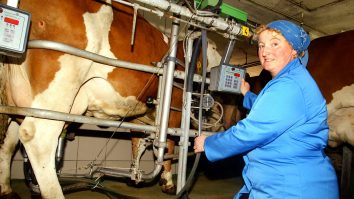 Guvernul a alocat 450 de milioane de lei pentru susţinerea creşterii animalelor