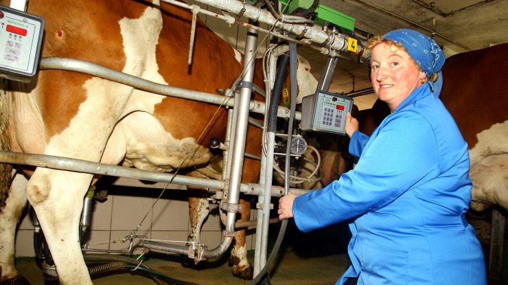 Guvernul a alocat 450 de milioane de lei pentru susţinerea creşterii animalelor