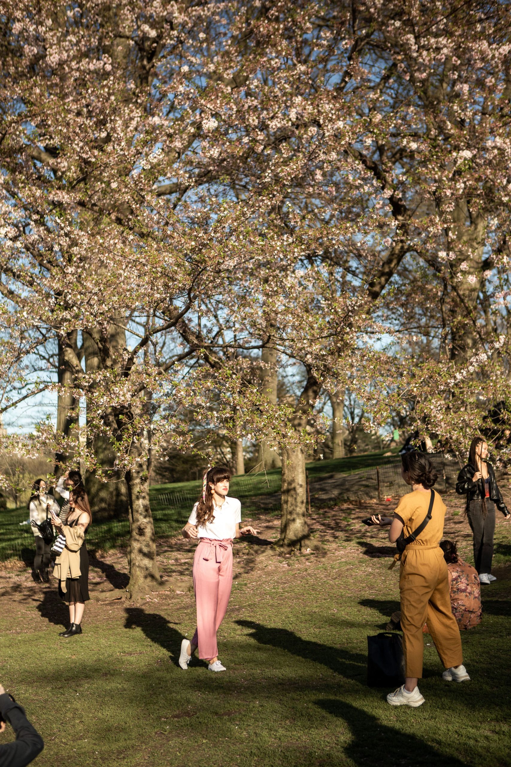 O nouă ediţie ,,Canon de Dezvoltare pentru studenţi” stă să înceapă