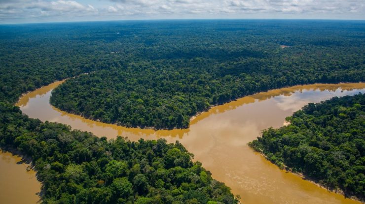 Pădure amazoniană
