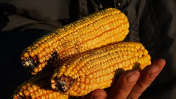 Prima navă care transportă cereale ucrainene de la invazia Rusiei, se îndreaptă spre Turcia