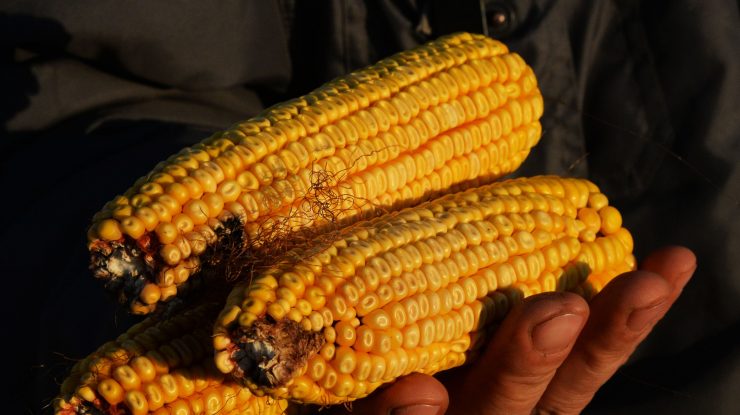 Prima navă care transportă cereale ucrainene de la invazia Rusiei, se îndreaptă spre Turcia