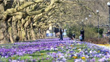 Echinocțiul de primăvară din 2025 a avut loc astăzi. Durata zilei va crește, iar cea a nopții va scădea