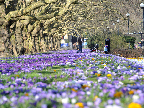 Orașele europene sunt mai atractive de vizitat primăvara. Iată câteva destinații care te vor fermeca