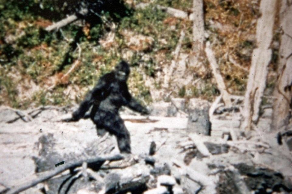 Filmare celebră cu Bigfoot din anii '60