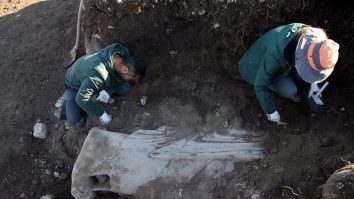 Rădăcinile unui trib străvechi au fost  confirmate de analizele ADN