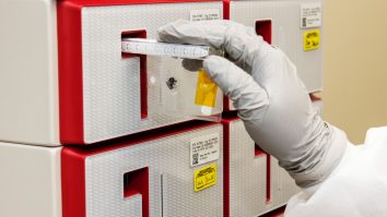 Ce virusuri provenite de la animale pun viața oamenilor în pericol