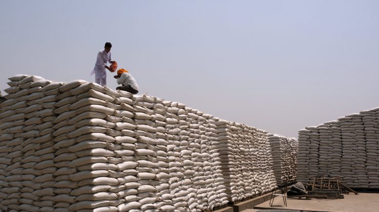 grâu din India