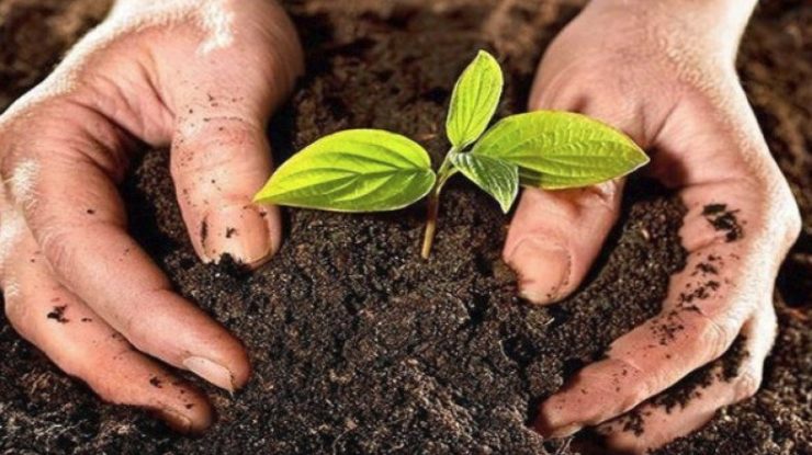 solul de pe Lună este fertil